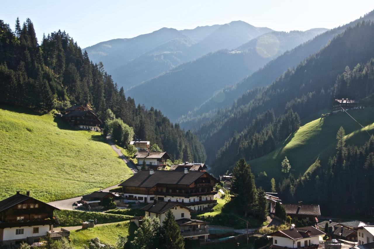 Edelberg *